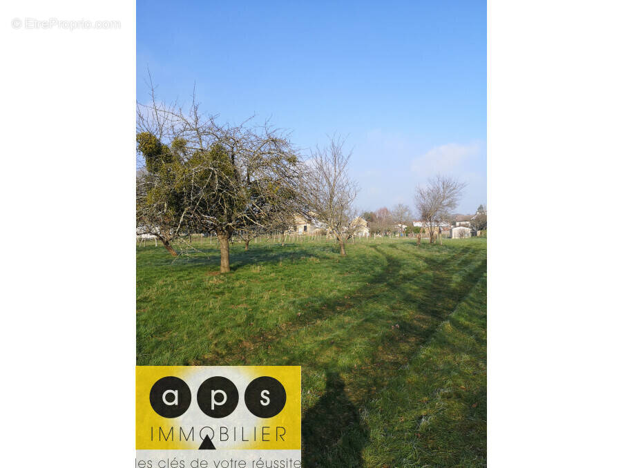 Terrain à POLIGNY