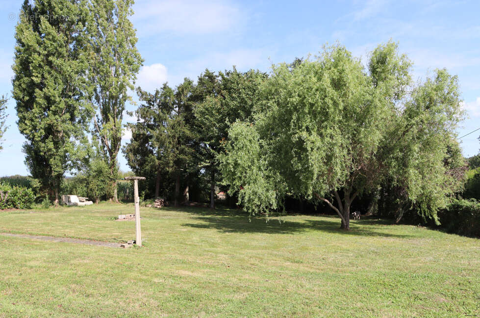 Maison avec jardin arboré et vue dégagée à Oleac-Dessus. EN VIDEO - photo 3
