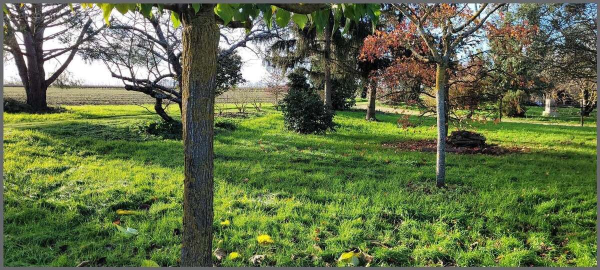 Photo 7 - Maison à BRISSAC-QUINCE