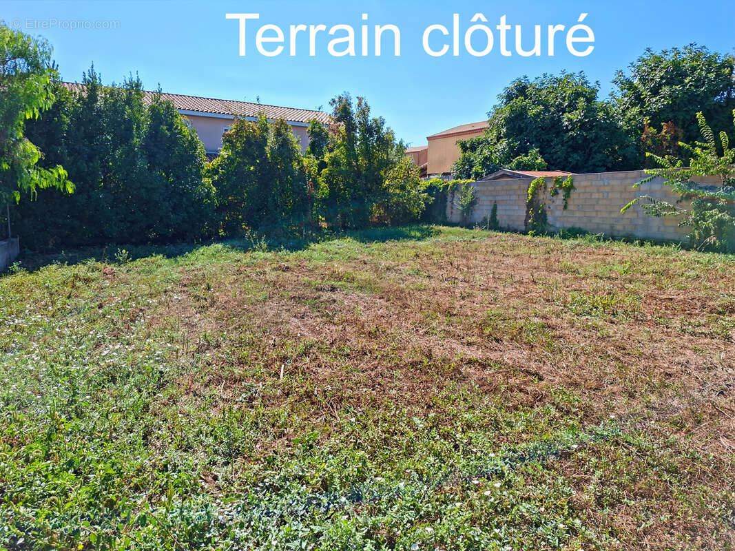 Terrain à CAZOULS-LES-BEZIERS