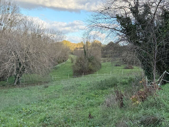 Maison à SAINT-BONNET-SUR-GIRONDE