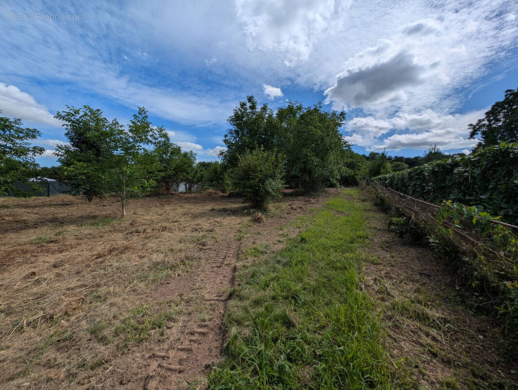 Terrain à NANTEUIL-LES-MEAUX