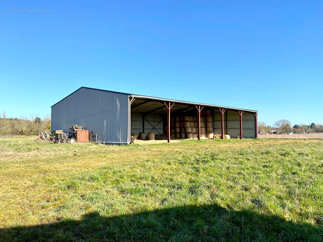 Terrain à CHATILLON-SUR-CHER