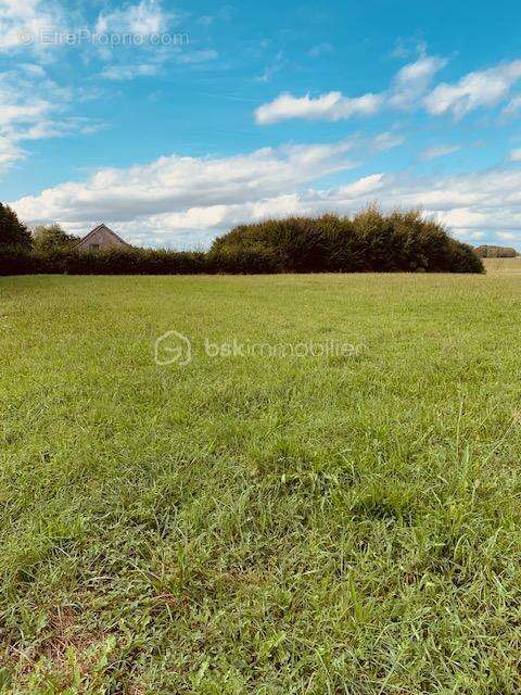 Maison à BELLEVESVRE