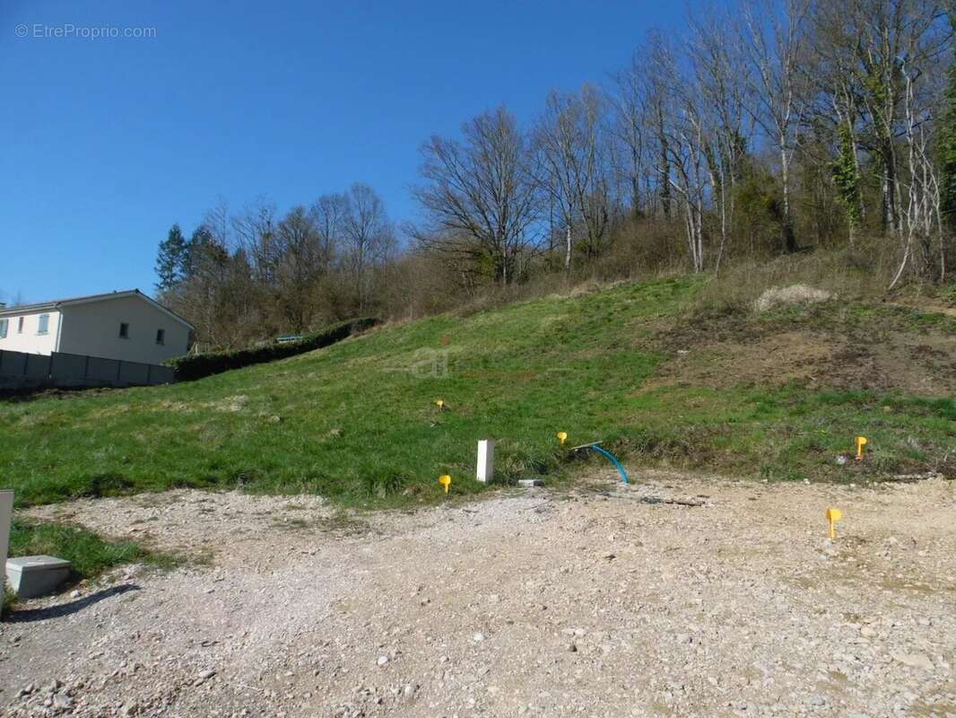 Terrain à VILLETTE-SUR-AIN