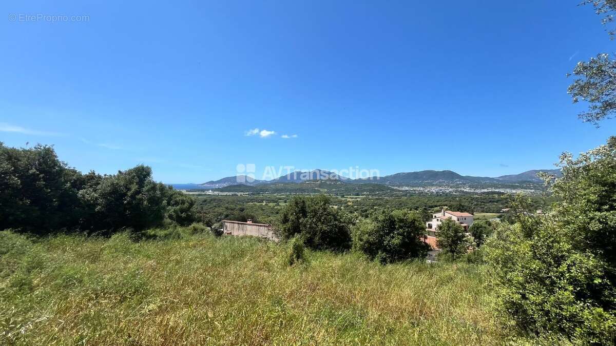 Terrain à BASTELICACCIA