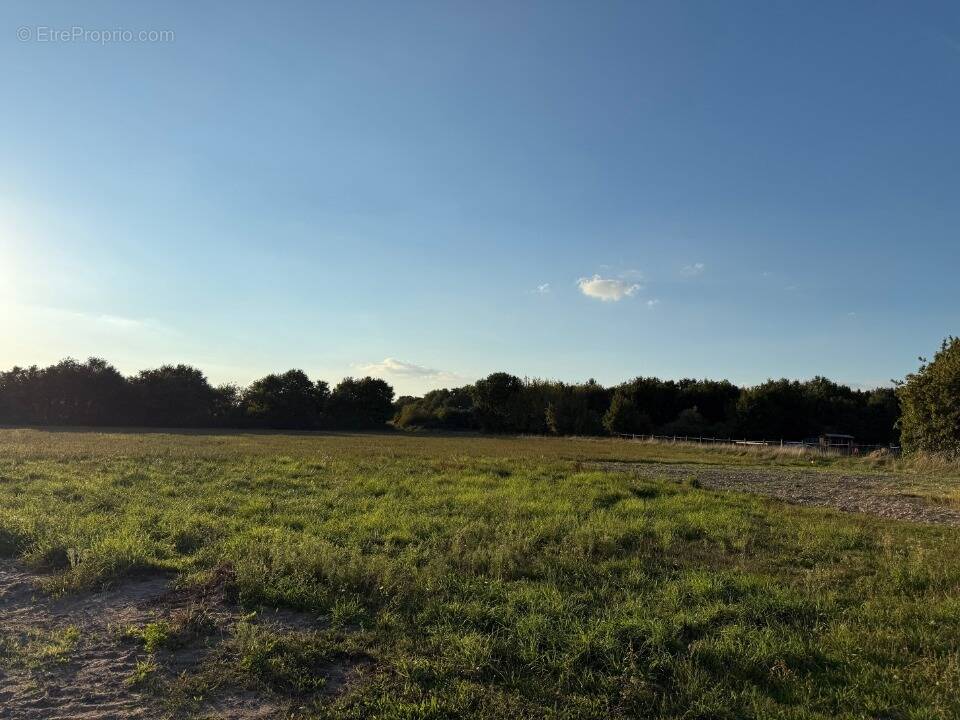 Terrain à SAVONNIERES