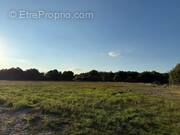 Terrain à SAVONNIERES