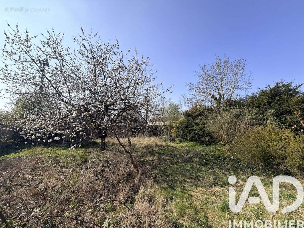 Photo 5 - Maison à CHEVILLY