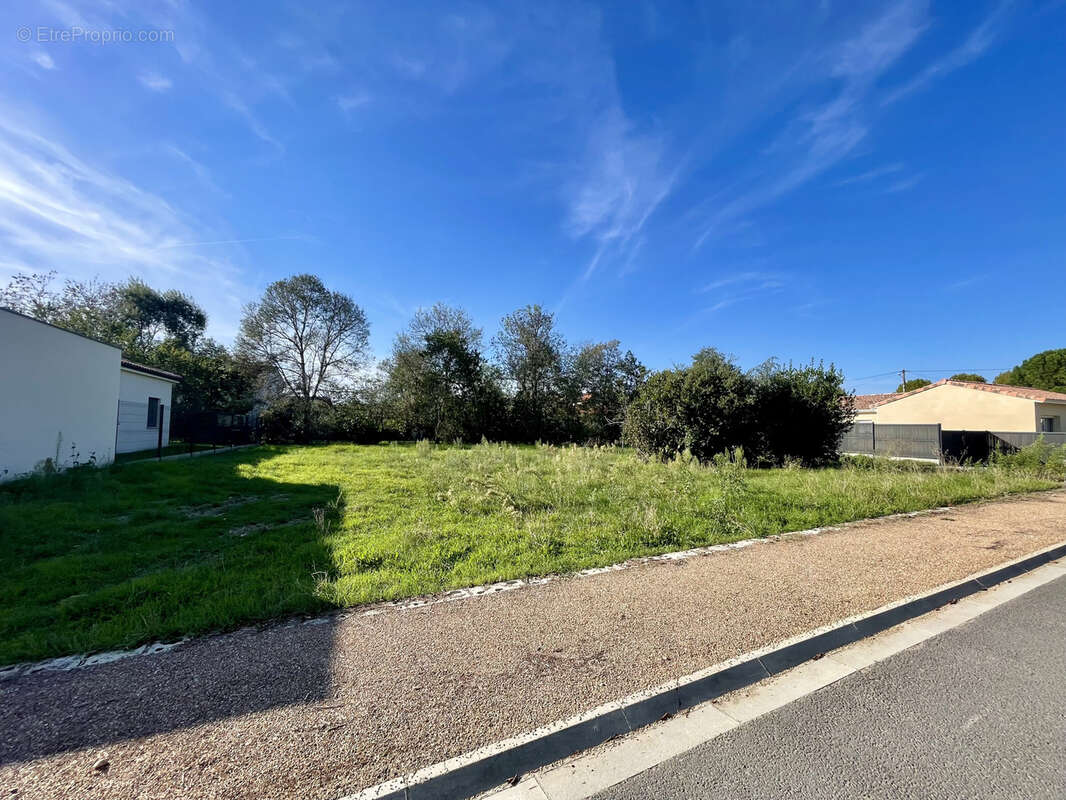 Terrain à LAVAUR