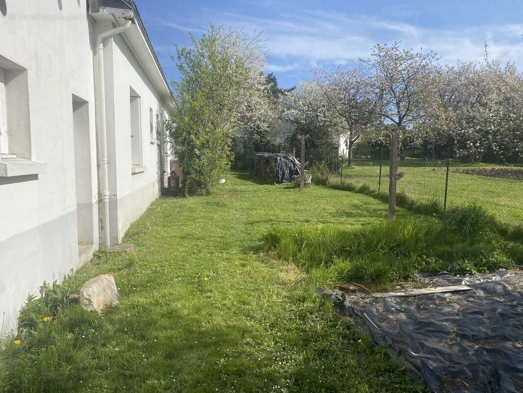 Maison à GUEMENE-PENFAO