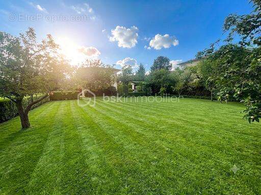 Terrain à vendre  887 m² à Blagnac - photo 18