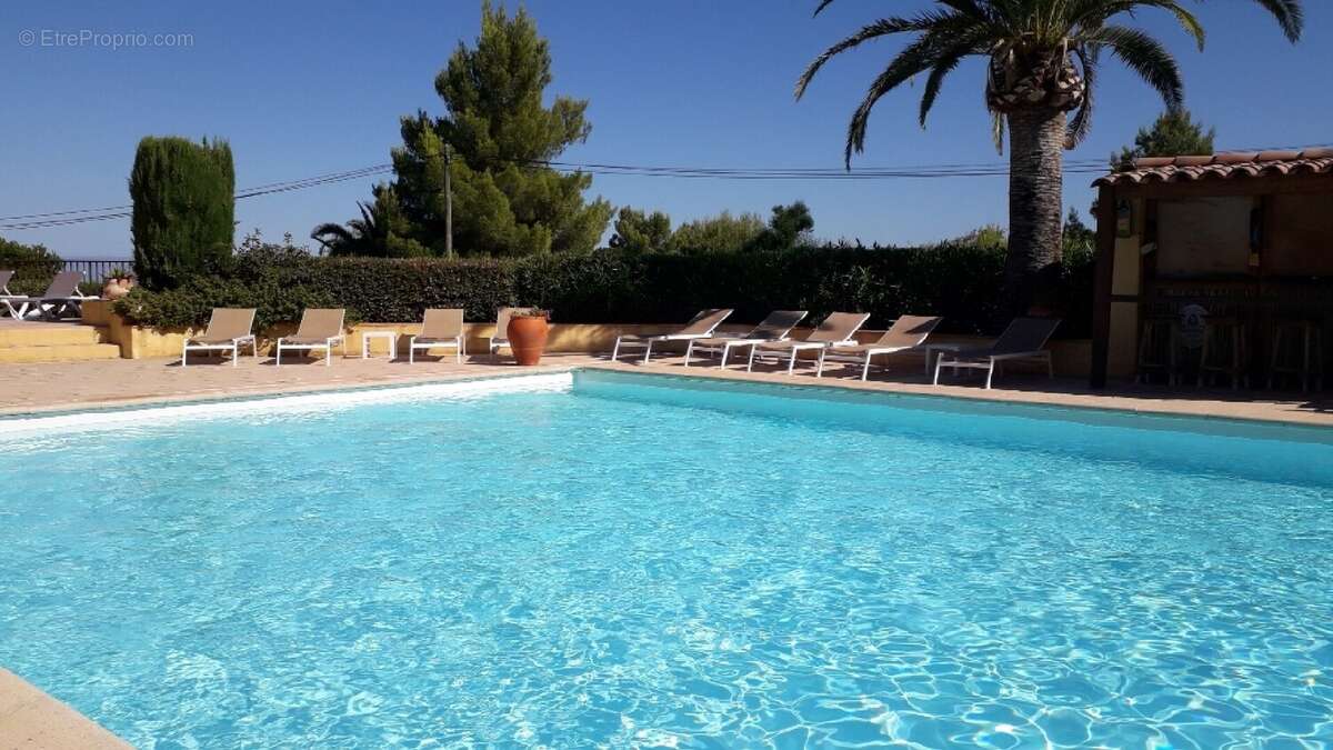 Appartement 37 m² à Calvi  - photo 5