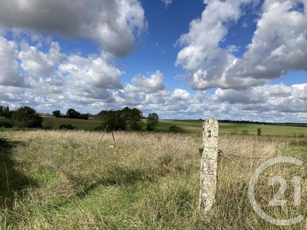 Terrain à VIEUX-CHAMPAGNE