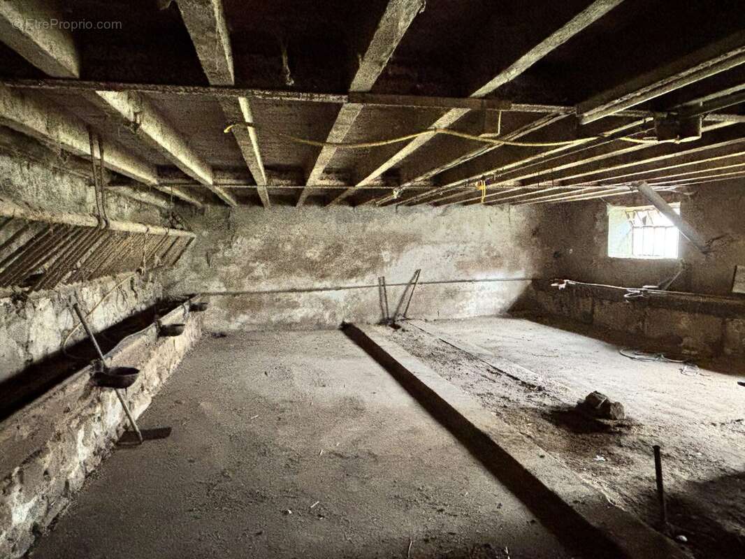 Maison à SAINT-PIERRE-LE-VIEUX