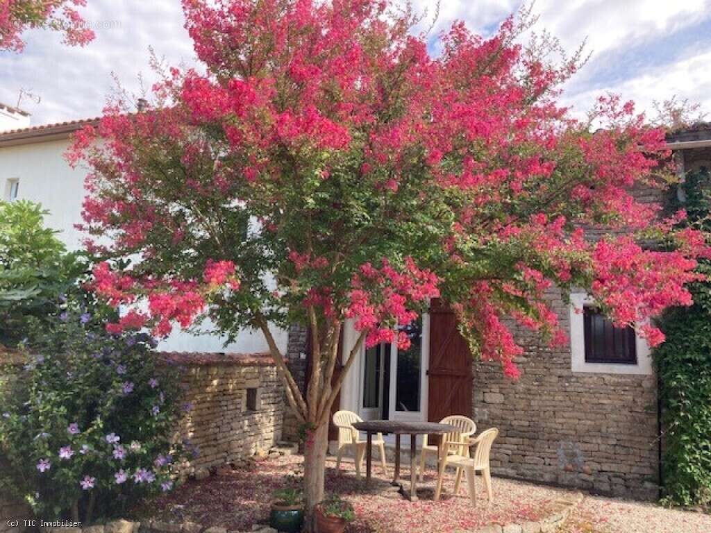 Maison à VILLEFAGNAN