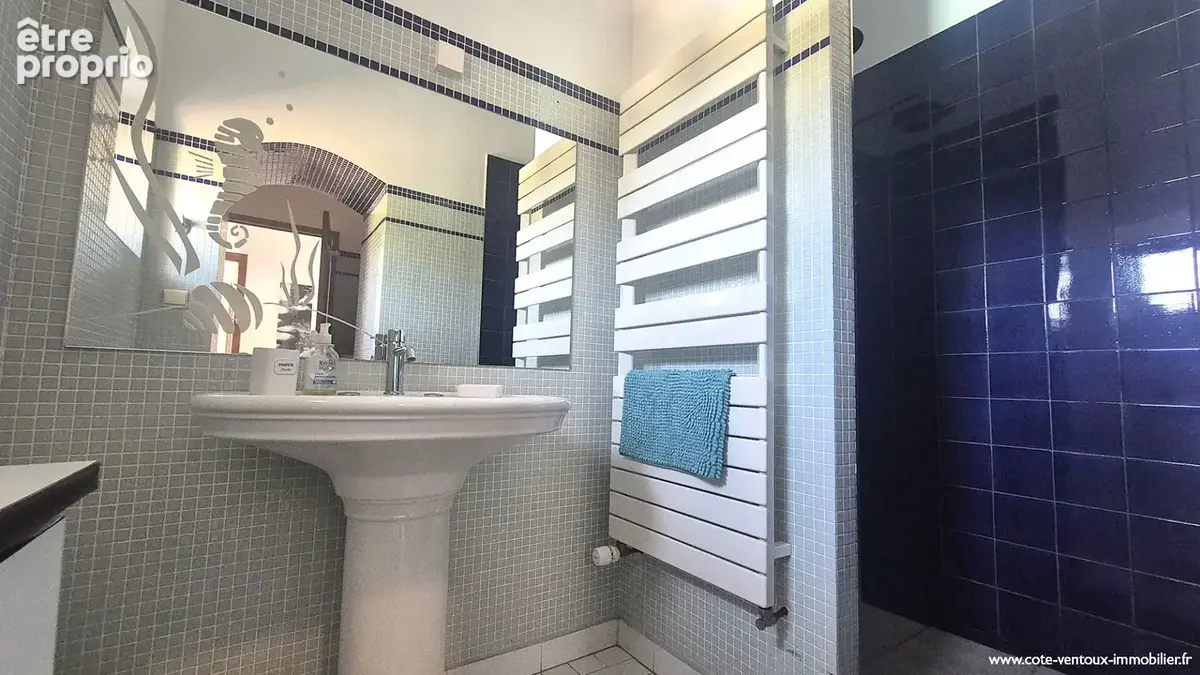 Rare : Demeure de 1900-180M² + dépendance 83M²-Terrain arboré 1700 M²-Piscine 11X5estige Le Pontet 7 pièce(s) 290 m2 - photo 11
