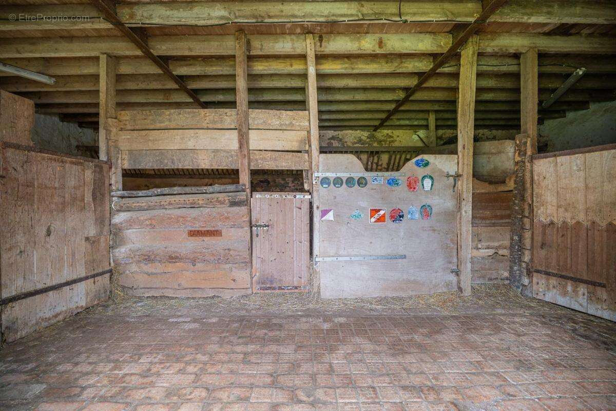 Maison à SAINT-JEAN-D'ASSE