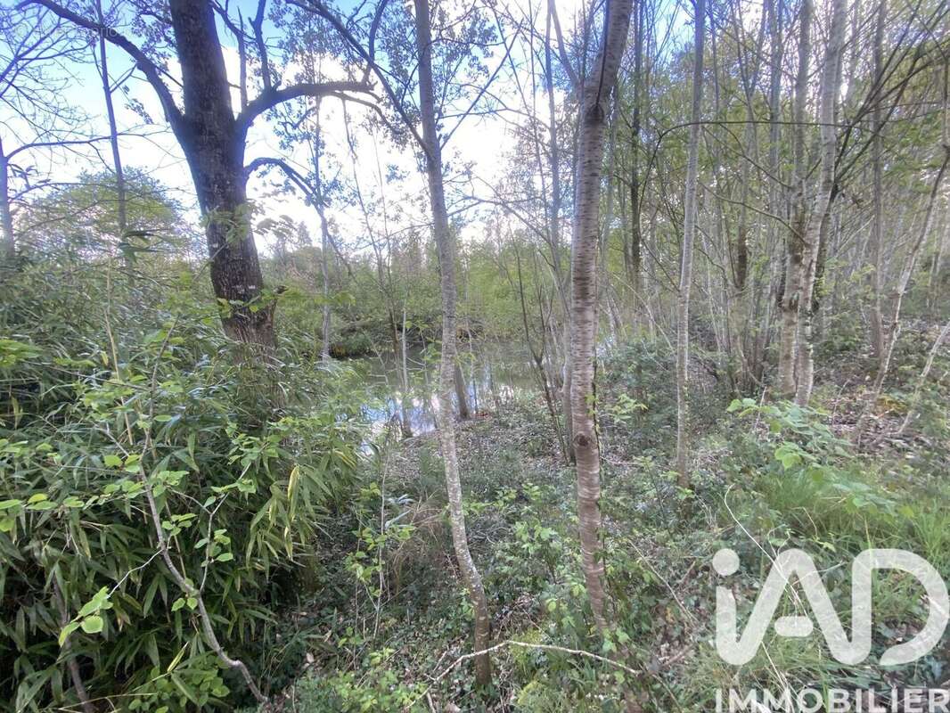 Photo 4 - Terrain à ANDREZE