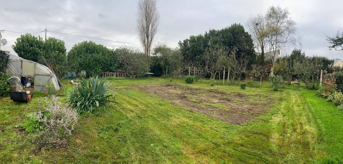 Photo Terrain - Terrain à GUISSENY