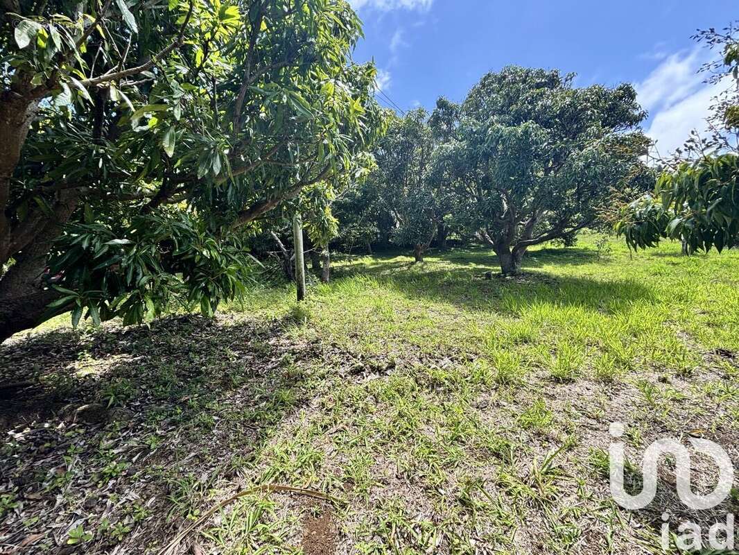 Photo 4 - Terrain à SAINT-PIERRE