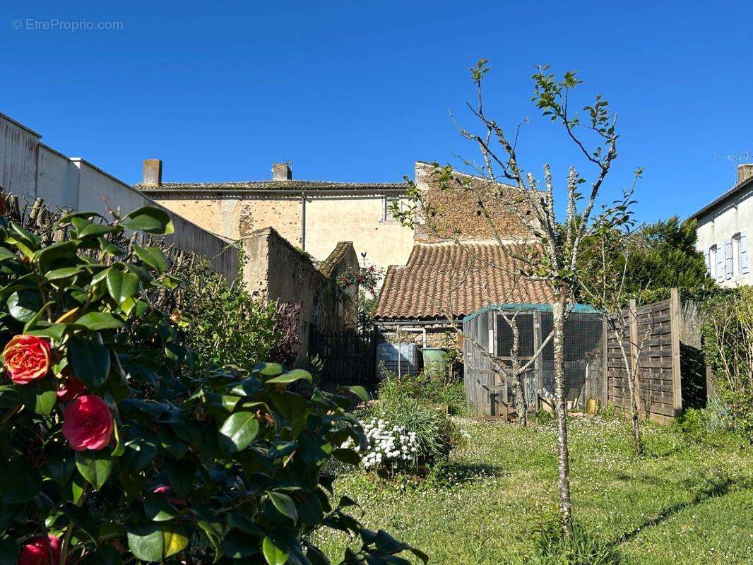 Grande maison de bourg avec cachet, 3 chambres (possibilités ++), beaux volumes, espaces aménageables, jardin - photo 13
