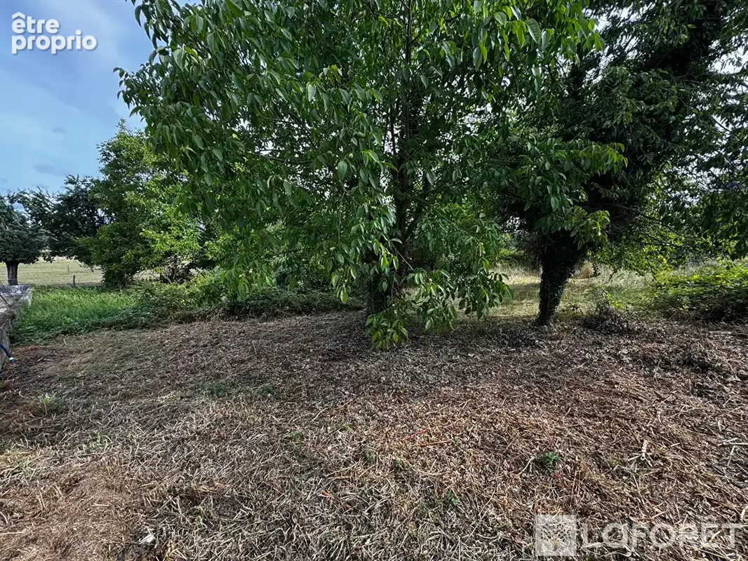 Terrain Zillisheim 1172 m2 - photo 6