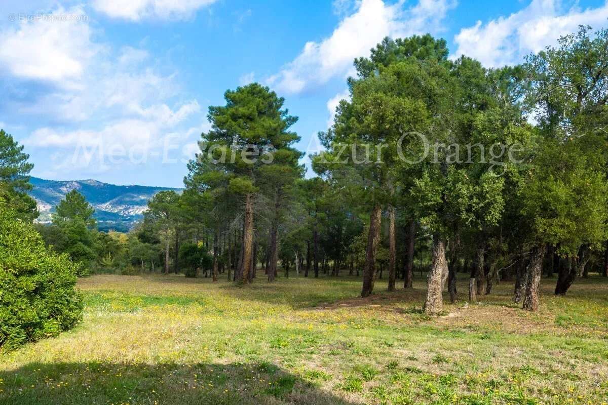 Maison à PLAN-DE-LA-TOUR