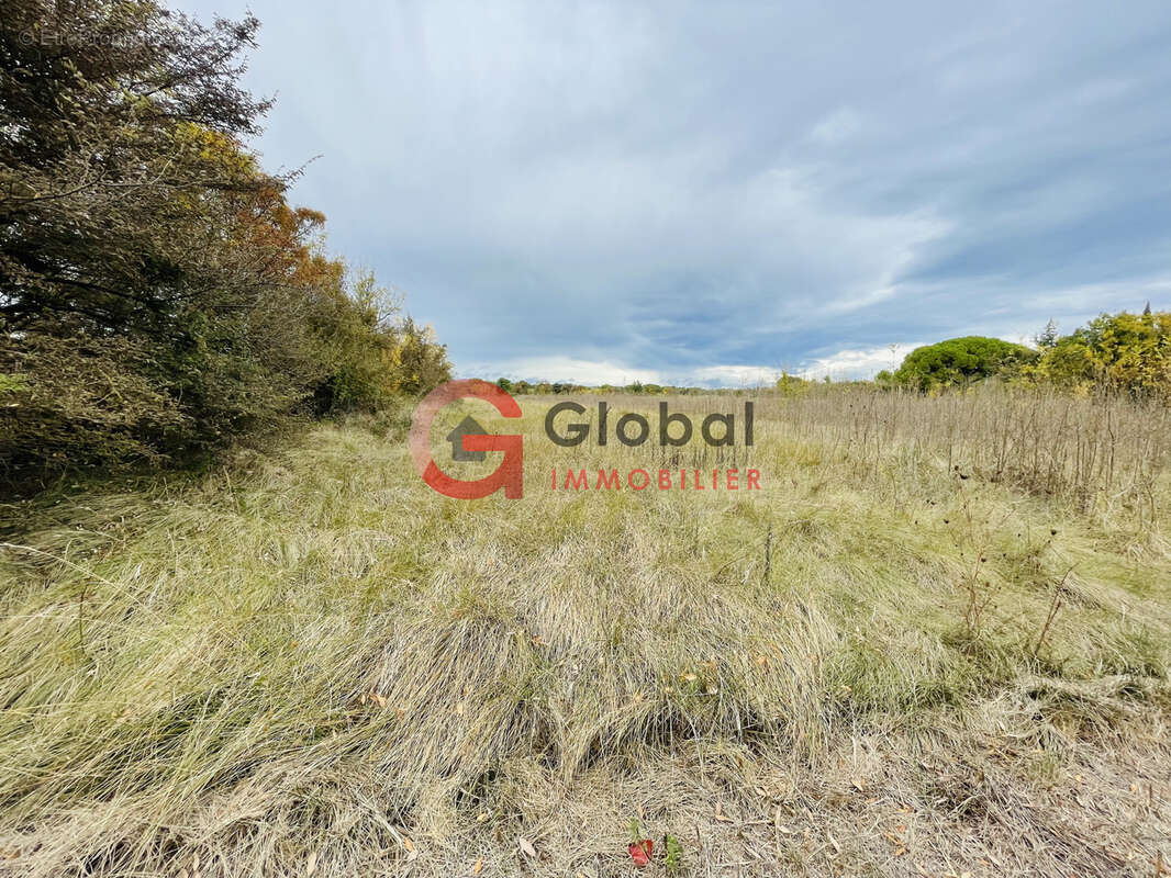 Grand terrain de 19270m2 avec Jade RUIZ - photo 2