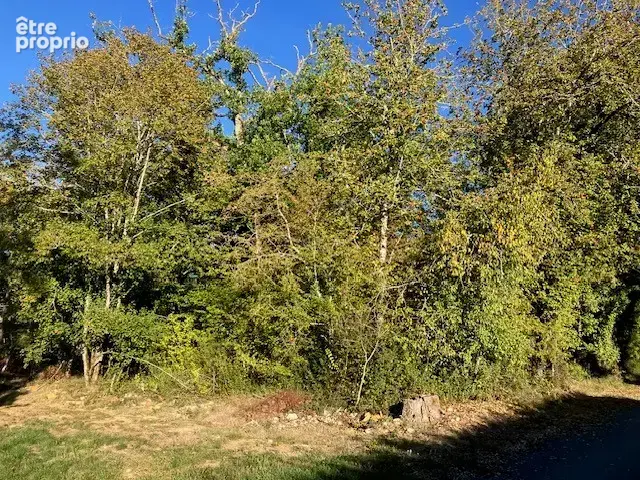 Terrain constructible à vendre avec forêt de chêne à St Martial de Nabirat - photo 2