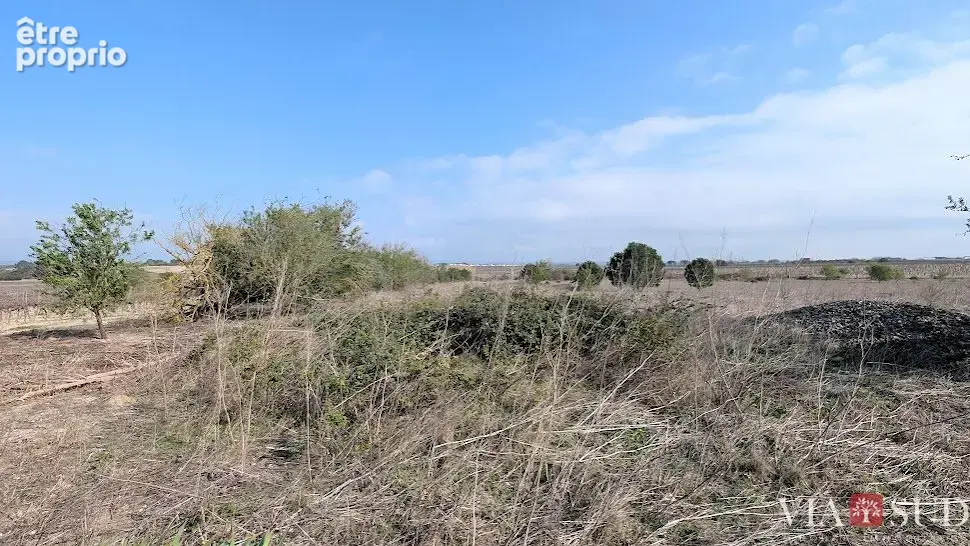 A 10 min de Béziers, Villa de deux appartements sur grand terrain - photo 3