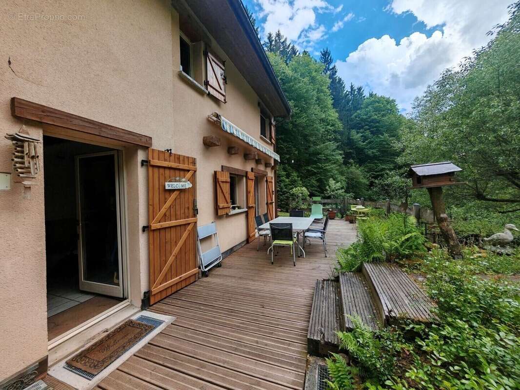 Maison 65 m² à Frapelle  - photo 728