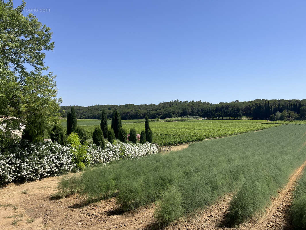 UZES 15km... en pleine CAMPAGNE - photo 2