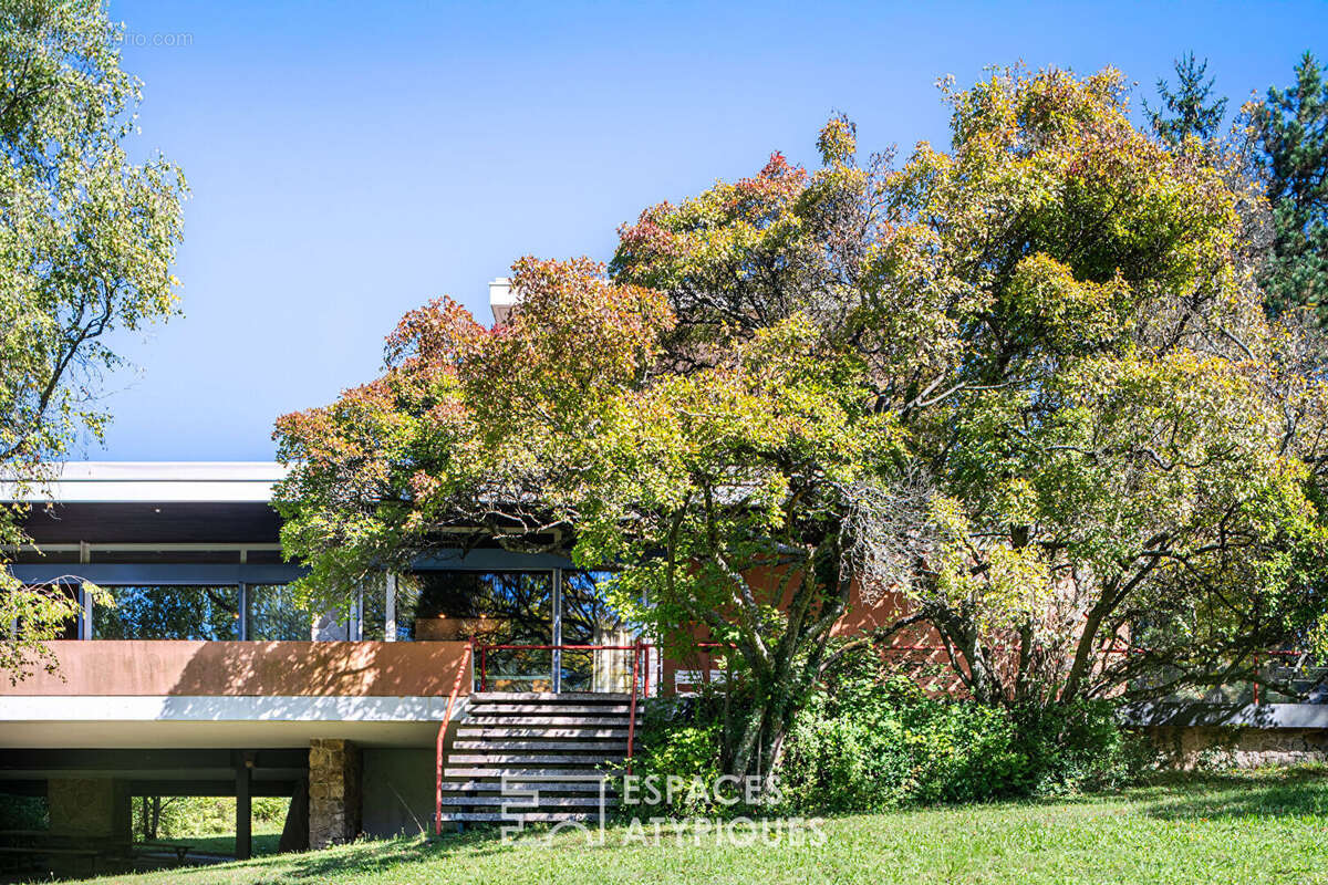 Maison à WISSEMBOURG