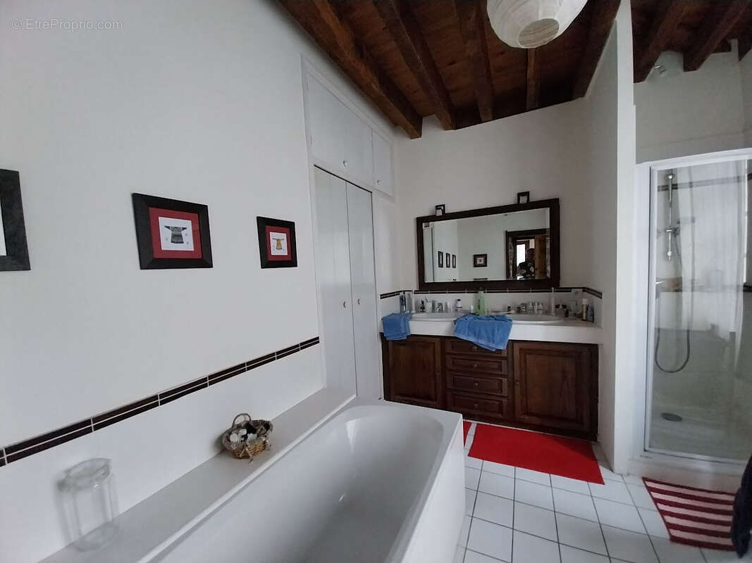 Maison 315 m² à Benejacq  - photo 9
