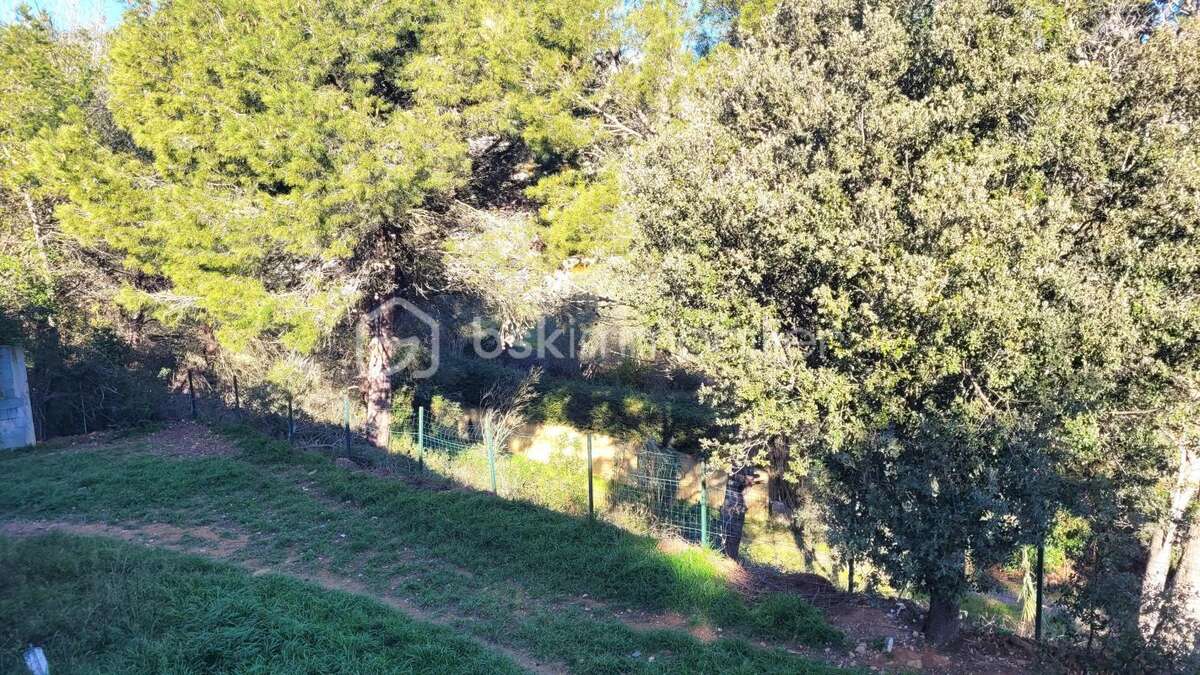 Narbonne - secteur roche grise - villa de 183 m² - 4 faces - piscine - appartement de 70 m² - parcelle 2200 m² - photo 17