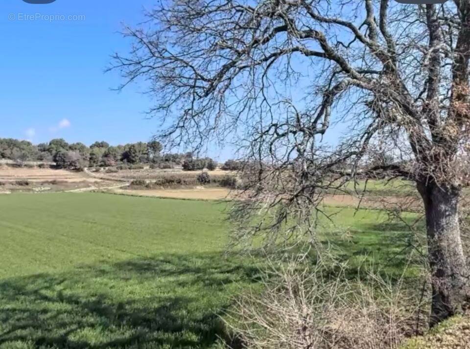 Terrain à PERTUIS