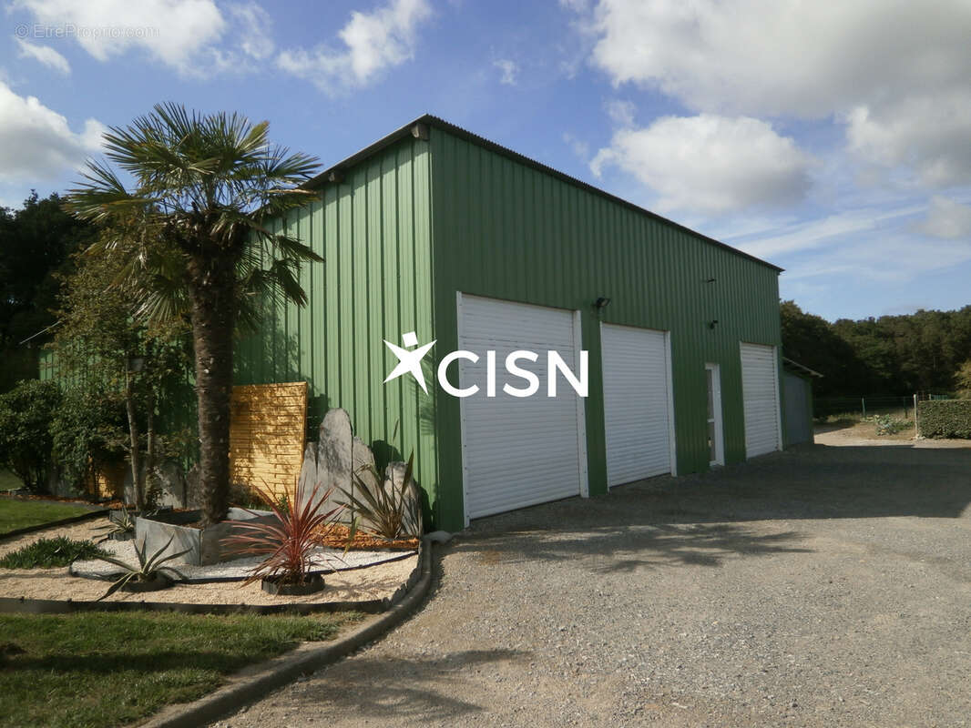 Quartier immaculee  belle propriete de 155m2  sur terrain clos de 4332 m2 avec 2 hangars - photo 6