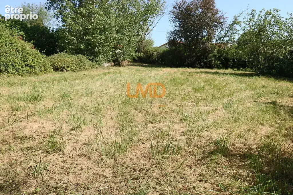 Maison individuelle à rieux volvestre sur un terrain de 1735 m² - photo 5