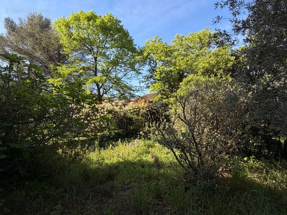 Terrain à MONTPELLIER
