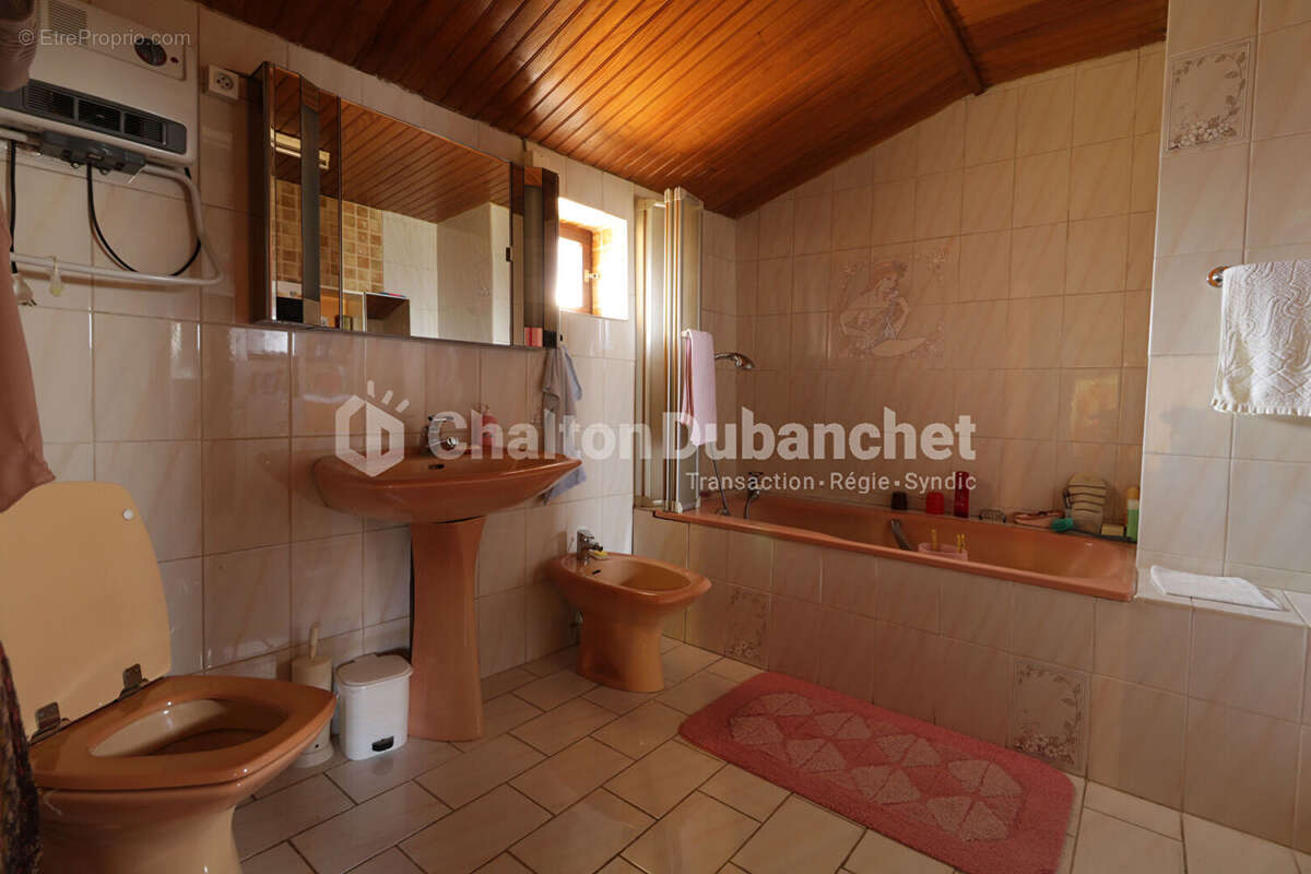 Châtel Montagne, Maison de 146.35 m² - photo 10