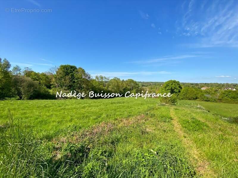 Terrain à vendre de 3 201 m² dans un environnement résidentiel recherché à GONNEVILLE SUR MER (14) - photo 3