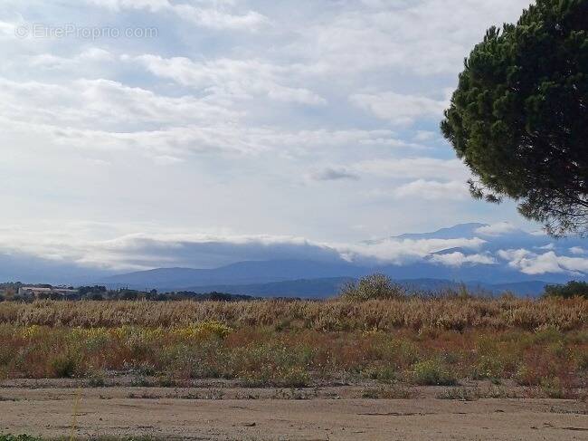 Terrain à SAINT-JEAN-LASSEILLE