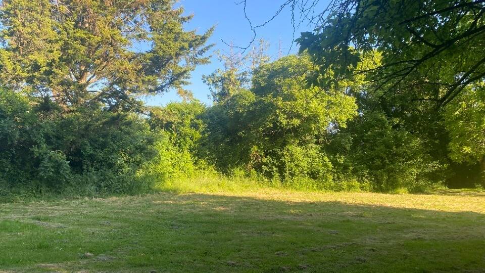 Terrain à MONTBAZON