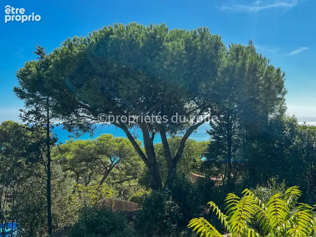 Sète, mont Saint Clair sud, terrain avec vue mer, - photo 4