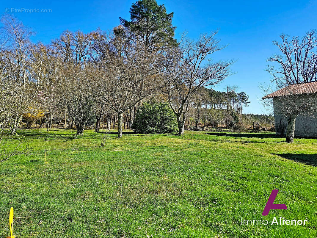 Terrain à BELIN-BELIET