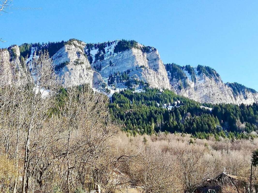 Dpt haute savoie (74), à vendre thollon-les-memises maison-gîte coeur de station - photo 38