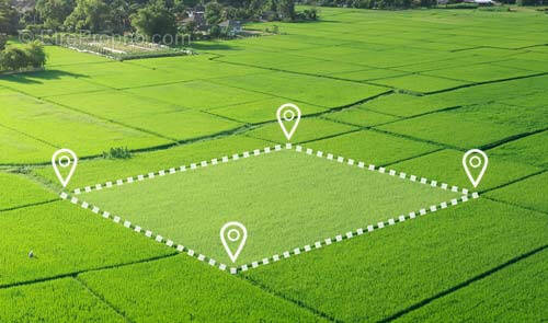 Terrain à VAL-DE-VESLE