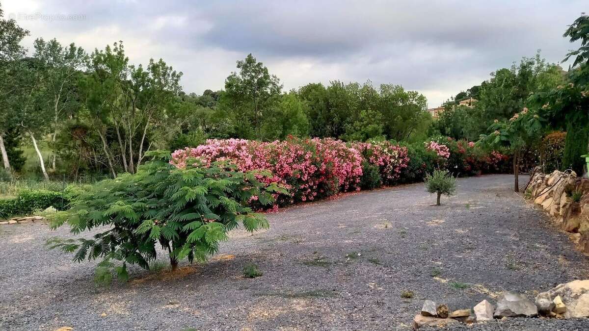 Photo 7 - Maison à ROUJAN
