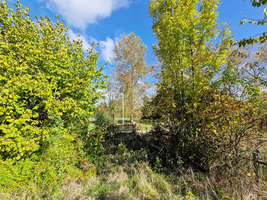 Terrain à SAINT-MIHIEL